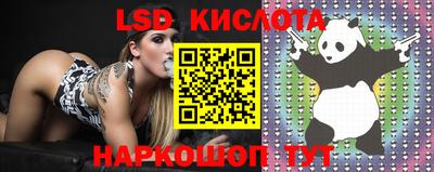 прущие грибы Краснознаменск